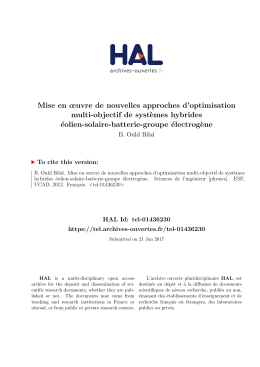 Rapport_Finale _These_06_12_20... - TEL (Thèses-en-ligne)