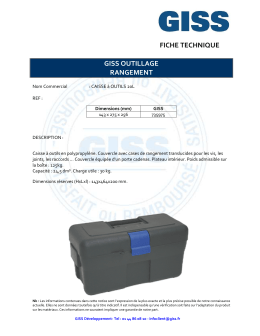 735974 FT GISS Caisse a outils 20L