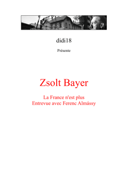 Zsolt Bayer - Un grain de sable