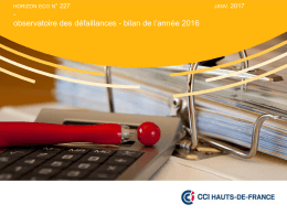 Bilan de l`année 2016 - CCI Hauts-de