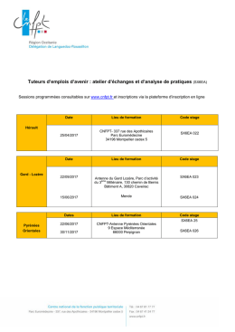 Tuteurs d`emplois d`avenir : atelier d`échanges et d