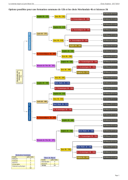 Les choix d`options au 3ème degré