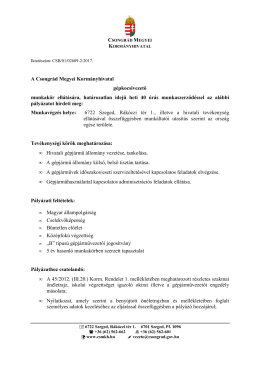 g&eacute;pkocsivezetői p&aacute;ly&aacute;zat