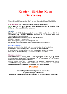 Versenykiírás