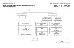 lampiran so dinas penanaman modal dan ptsp
