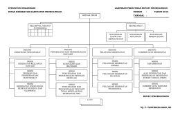 lampiran so dinas kesehatan - JDIH Kabupaten Probolinggo
