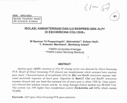 n. - berkalahayati.org