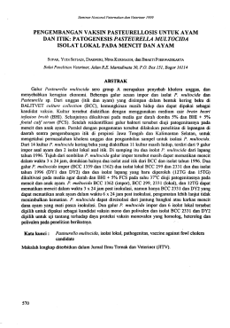 patogenesis pasteurella multocida isolat lokal pada mencit dan ayam
