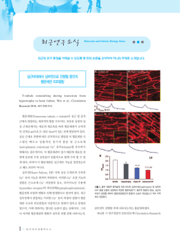 최근연구소식