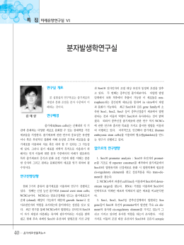 분자발생학연구실