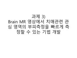 과제3_Brain MR 영상에서 치매관련 관심 영역의 부피측정을 빠르게