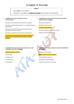 İş Sağlığı ve G&uuml;venliği