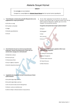 Ailelerle Sosyal Hizmet