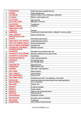 listeyi pdf olarak indir