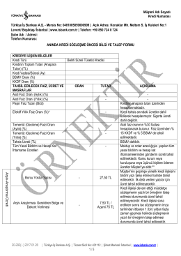 20-292 AnındaKredi S&Ouml;BTF Ocak2017