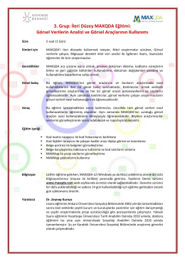 3. Grup: İleri Düzey MAXQDA Eğitimi: Görsel