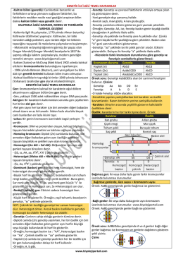 www.biyolojiportali.com GENETİK İLE İLGİLİ TEMEL KAVRAMLAR