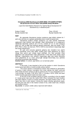 Ganoderma CİNSİ Basidiomycet`LERDE MİSEL KİTLESİNİN