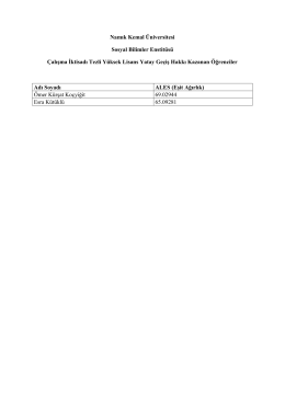 Namık Kemal Üniversitesi Sosyal Bilimler Enstitüsü Çalışma İktisadı