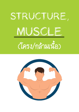 Structure - The Tutor