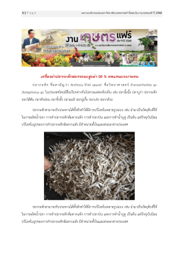เครื่องผ่าปลากะตักสมรรถนะสูงผ่า 98 % ทดแทนแรงง