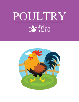 Poultry - The Tutor