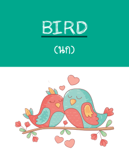 Bird - The Tutor