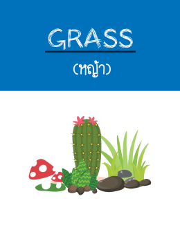 Grass - The Tutor