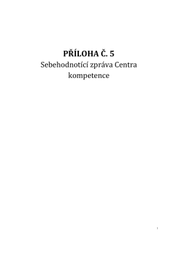 Příloha č. 5 - Osnova Sebehodnotící zprávy