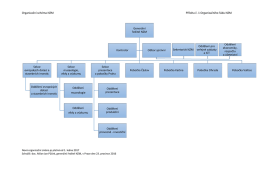 Organizační schéma NZM Příloha č. 1 Organizačního řádu NZM