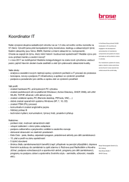 Koordinator IT