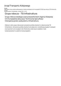 Grupa robocza &ndash; TSI Infrastruktura