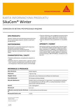 SikaCem&reg; Winter