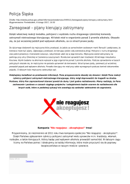 Generuj PDF - Policja Śląska