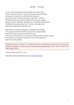 grzybki &mdash; Procesja