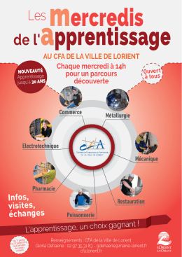 Mercredis Apprentissage 2017.ai
