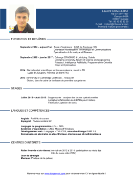 mon CV condensé imprimable en version pdf.