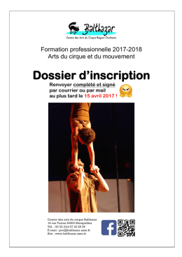 Télécharger le dossier de candidature pour la
