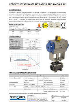 ROBINET 771 XS AVEC ACTIONNEUR PNEUMATIQUE AP