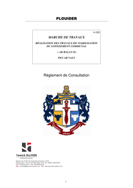 R&egrave;glement de consultation - La salle des march&eacute;s MEGALIS