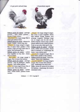 Standard sabelpoot 3