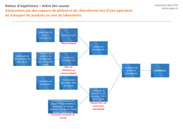 Retour d`expérience – Arbre des causes - CNRS