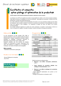 BTS EuroPlastics et composites, option pilotage et