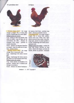 Standard sabelpoot 5