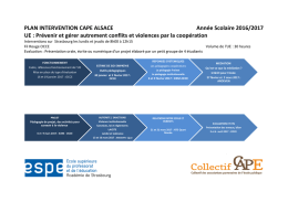 PLAN INTERVENTION CAPE ALSACE Année Scolaire