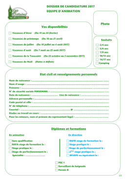 Dossier candidature animation