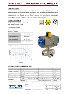 ROBINET 771 XS AVEC ACTIONNEUR PNEUMATIQUE AP