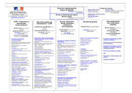 Organigramme - Haute