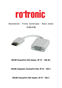 Data sheet ROLINE DisplayPort-VGA Adapter, DP ST – VGA BU