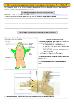 A2 - Comment nos organes sensoriels et nos